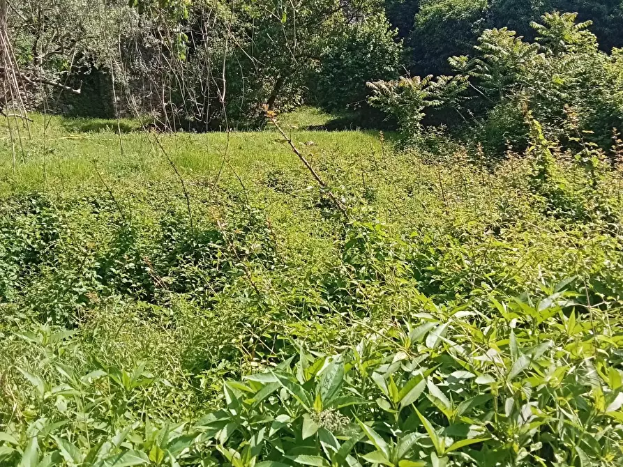 Immagine 6 di Casa semindipendente in vendita  a Aulla