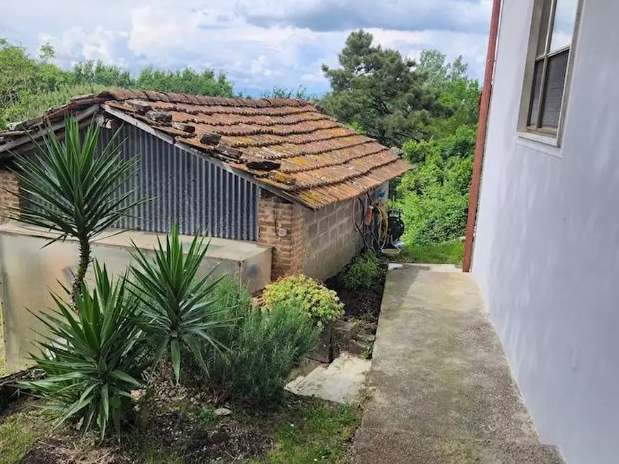 Immagine 40 di Casa indipendente in vendita  a Santa Maria A Monte