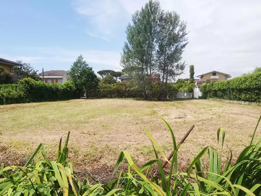 Immagine 2 di Terreno residenziale in vendita  a Montignoso