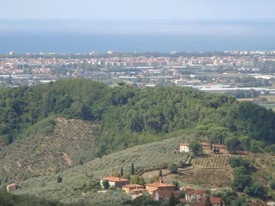 Immagine 29 di Casa colonica in vendita  a Massarosa