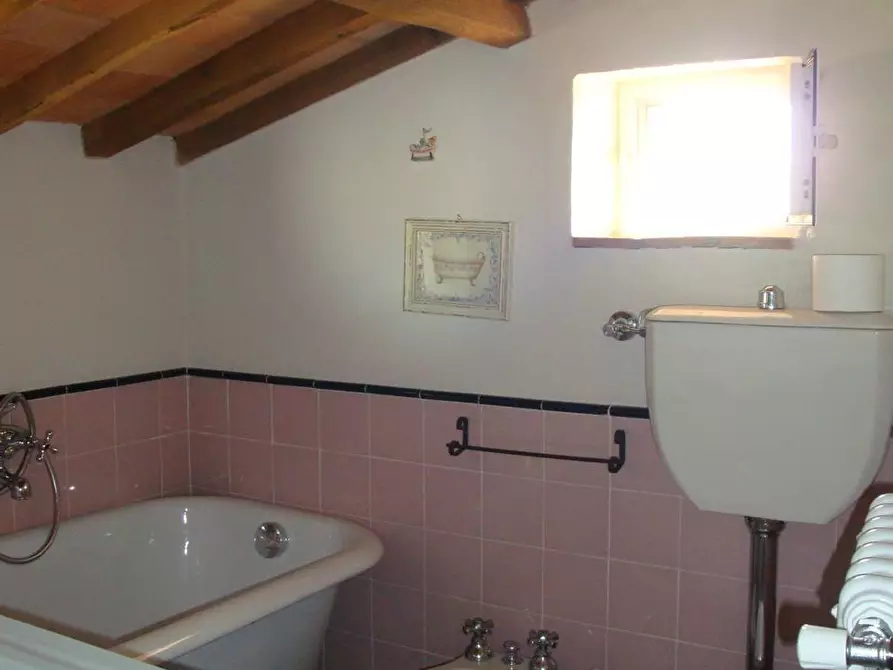 Immagine 17 di Casa colonica in vendita  a Massarosa