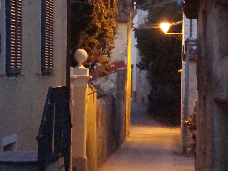 Immagine 4 di Casa colonica in vendita  a Massarosa