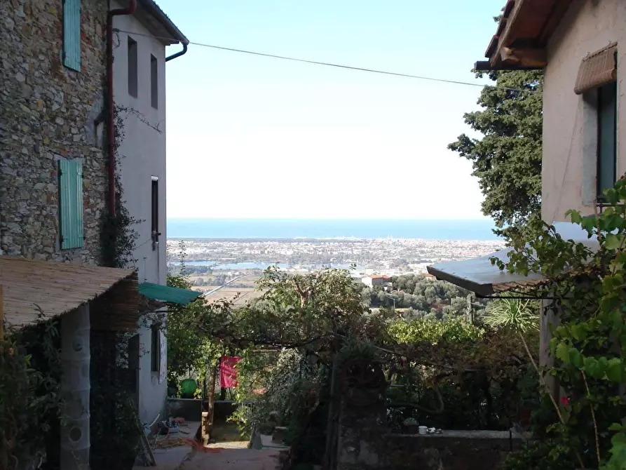 Immagine 5 di Casa colonica in vendita  a Massarosa