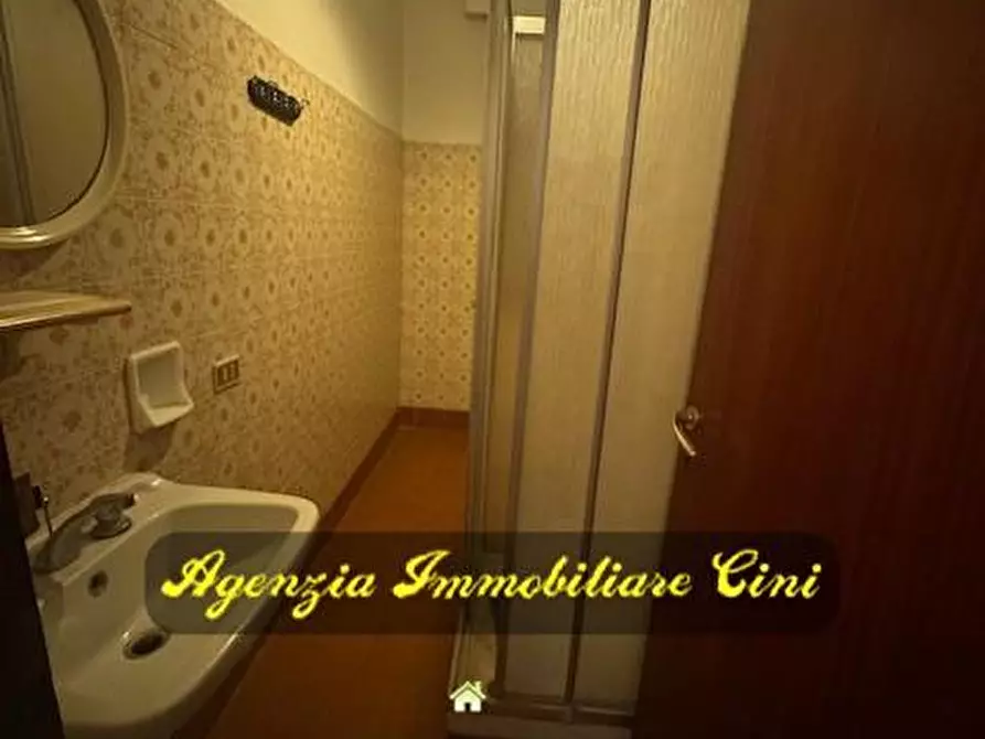 Immagine 19 di Appartamento in vendita  a Collesalvetti