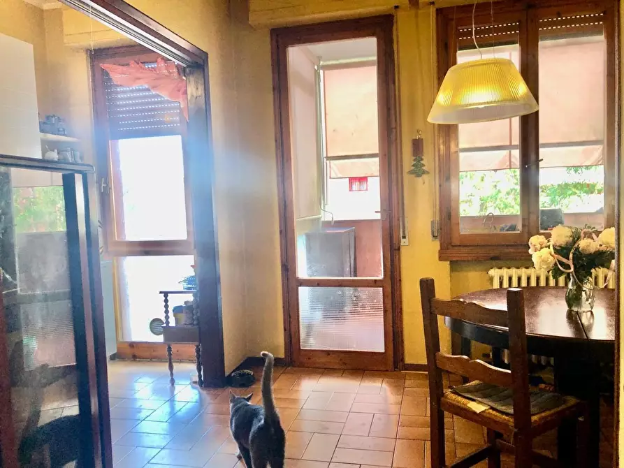 Immagine 5 di Appartamento in vendita  a Empoli