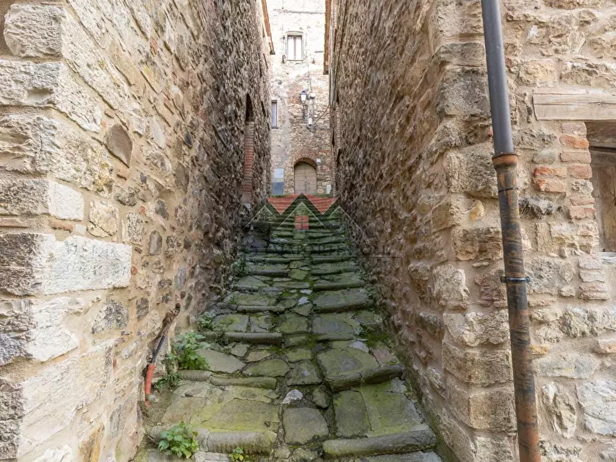 Immagine 5 di Appartamento in vendita  a Castelnuovo Val Di Cecina