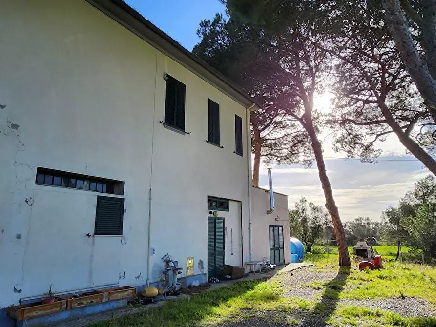 Immagine 4 di Villa in vendita  a Cecina