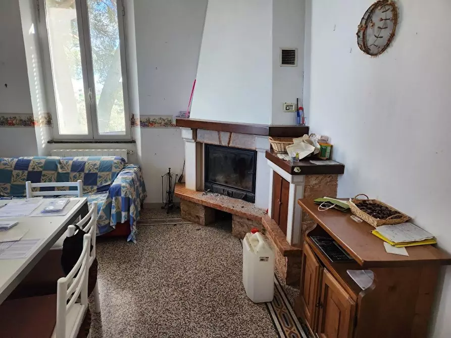 Immagine 6 di Villa in vendita  a Cecina