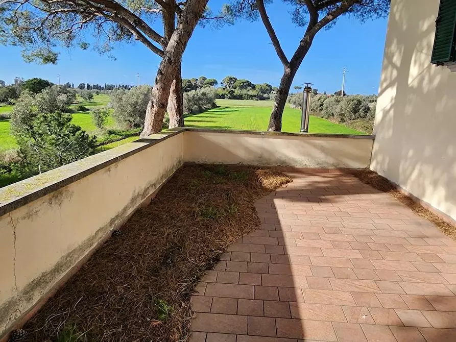 Immagine 3 di Villa in vendita  a Cecina