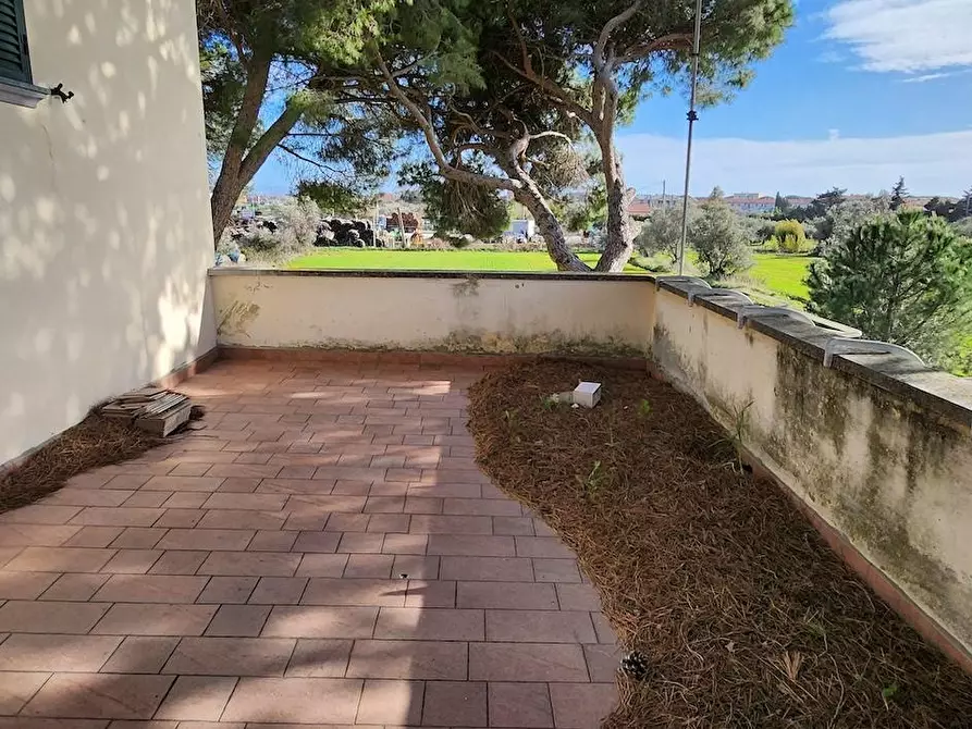 Immagine 5 di Villa in vendita  a Cecina