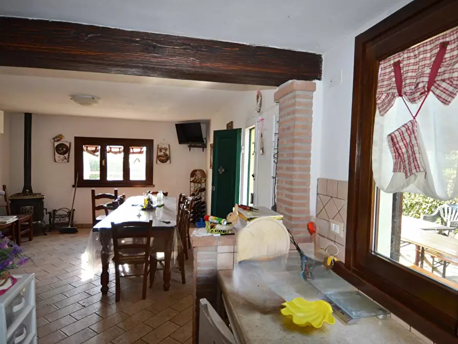 Immagine 7 di Loft/Open space in vendita  a Campiglia Marittima