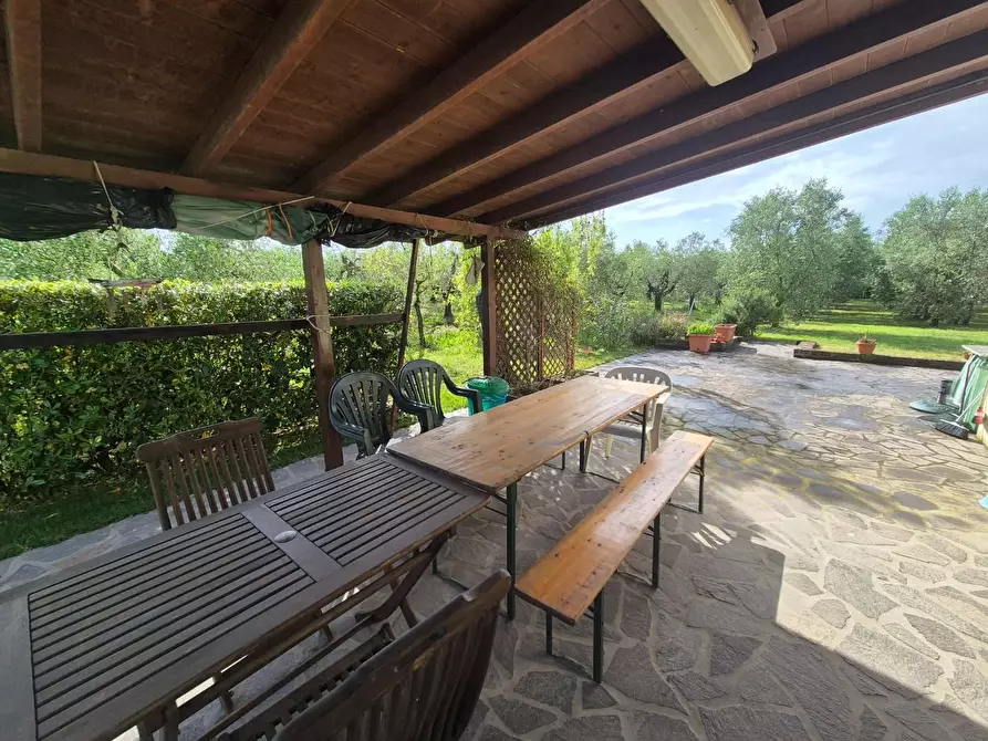 Immagine 11 di Loft/Open space in vendita  a Campiglia Marittima