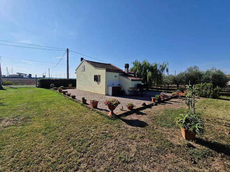 Immagine 3 di Loft/Open space in vendita  a Campiglia Marittima