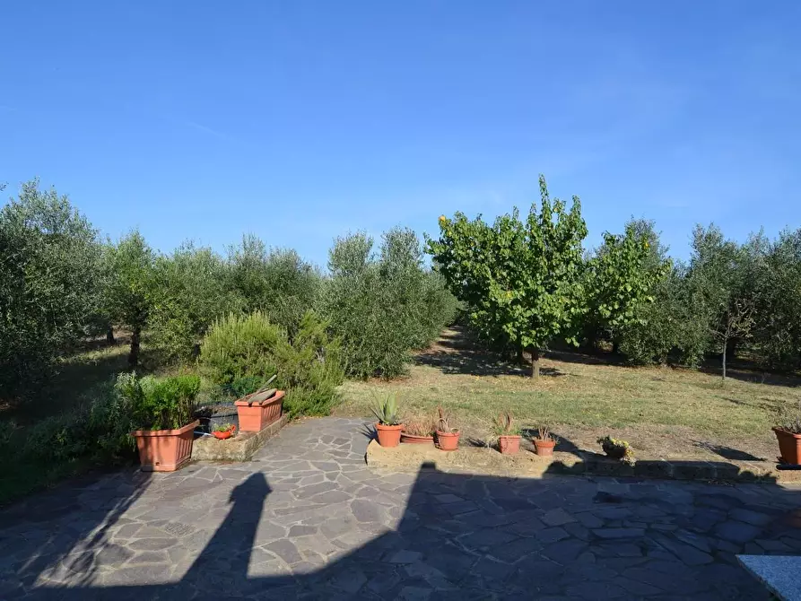 Immagine 9 di Loft/Open space in vendita  a Campiglia Marittima