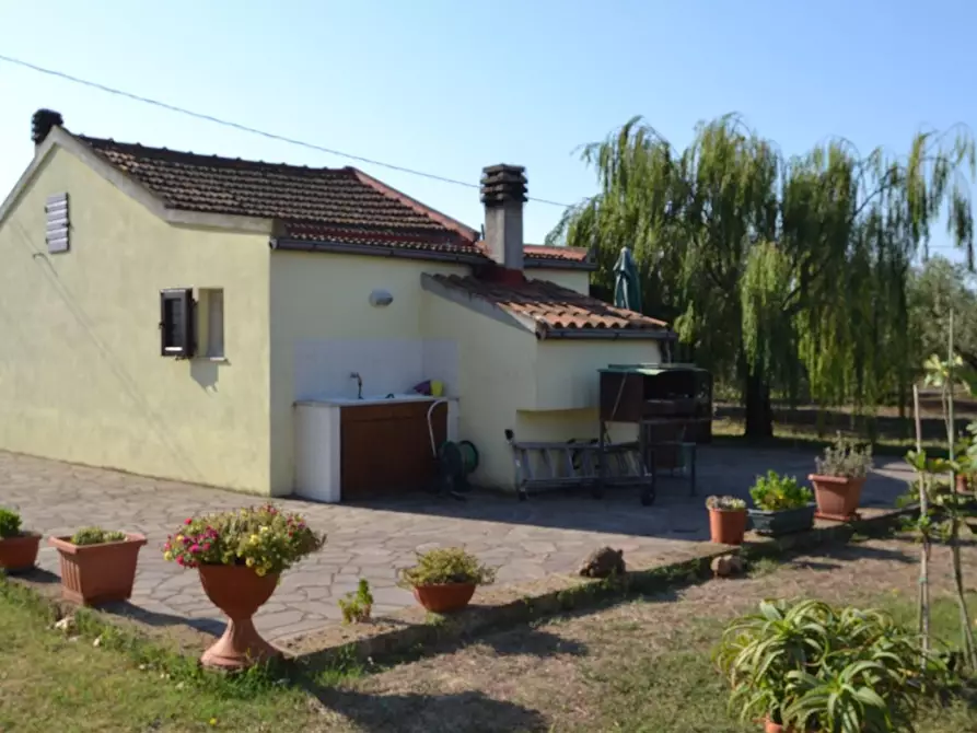 Immagine 1 di Loft/Open space in vendita  a Campiglia Marittima