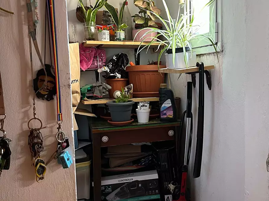 Immagine 20 di Appartamento in vendita  a Livorno