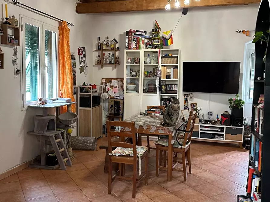 Immagine 4 di Appartamento in vendita  a Livorno