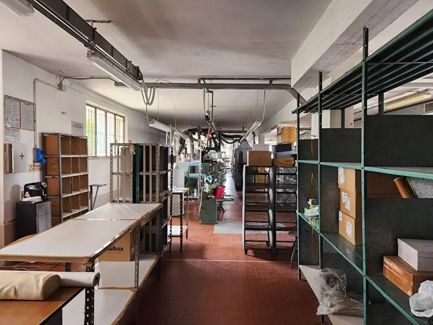 Immagine 8 di Attività artigianale in affitto  a Santa Maria A Monte