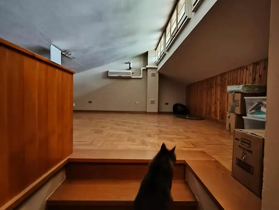 Immagine 18 di Terratetto in vendita  a Lamporecchio