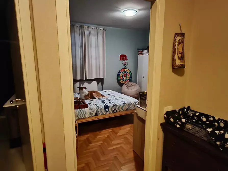 Immagine 21 di Terratetto in vendita  a Lamporecchio