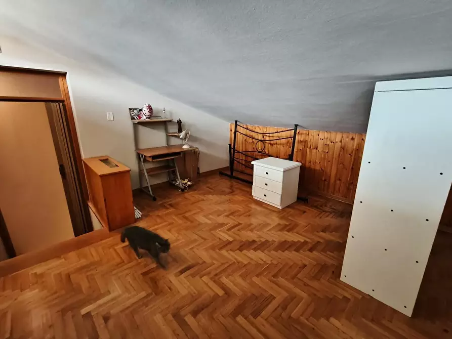 Immagine 11 di Terratetto in vendita  a Lamporecchio