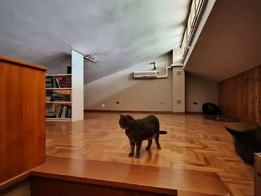 Immagine 10 di Terratetto in vendita  a Lamporecchio