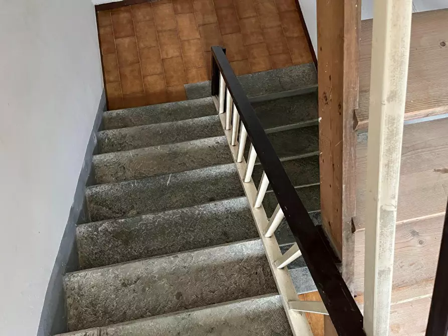 Immagine 12 di Terratetto in vendita  a Montignoso
