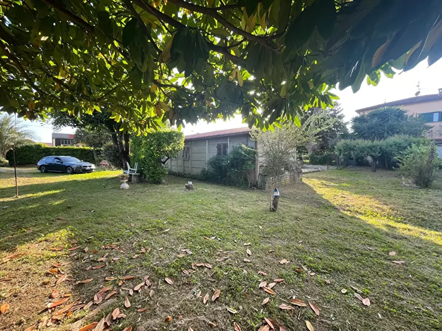 Immagine 6 di Casa indipendente in vendita  a Pietrasanta