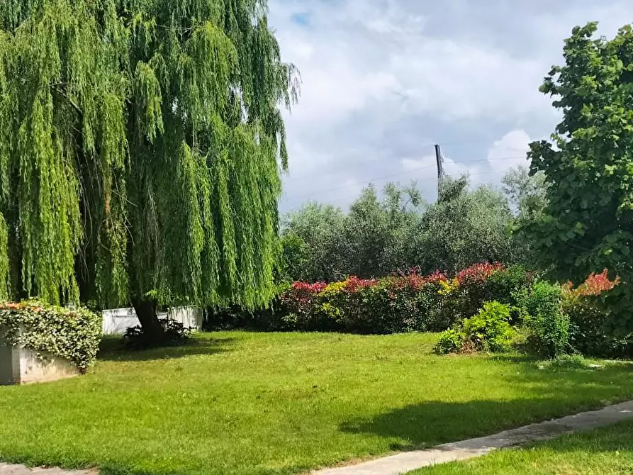 Immagine 30 di Appartamento in affitto  a Prato