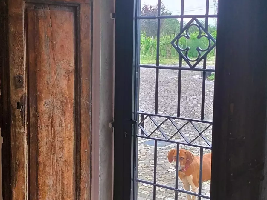 Immagine 11 di Appartamento in affitto  a Prato