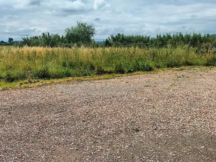 Immagine 29 di Appartamento in affitto  a Prato