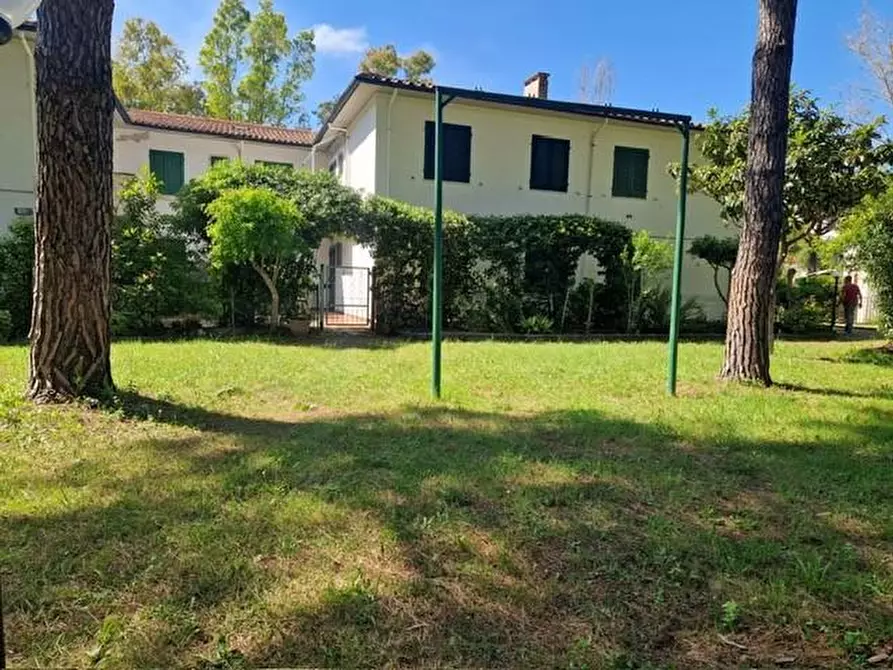 Immagine 3 di Appartamento in vendita  a Cecina