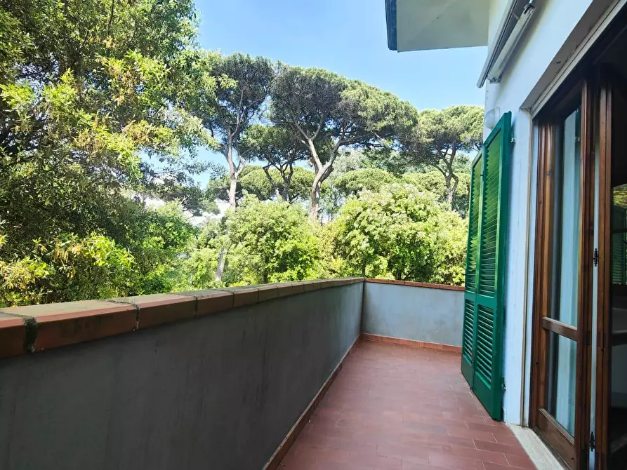 Immagine 15 di Appartamento in affitto  a Viareggio