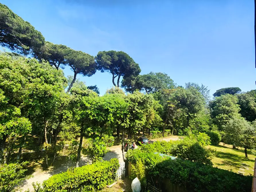 Immagine 16 di Appartamento in affitto  a Viareggio