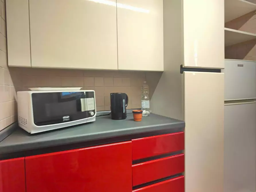 Immagine 12 di Appartamento in affitto  a Viareggio