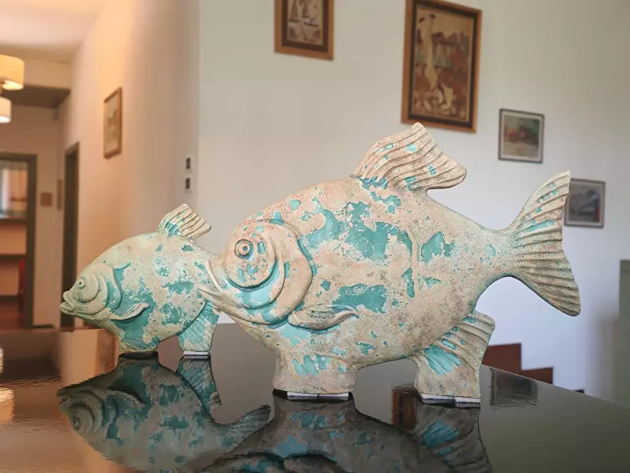 Immagine 3 di Appartamento in affitto  a Viareggio