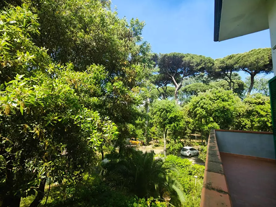 Immagine 14 di Appartamento in affitto  a Viareggio