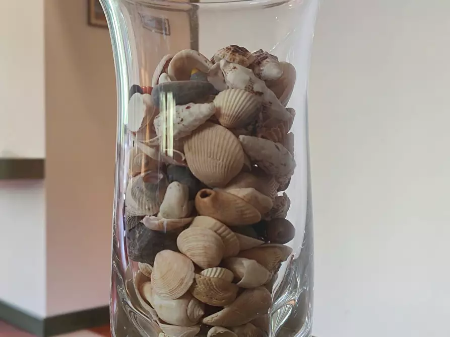 Immagine 2 di Appartamento in affitto  a Viareggio