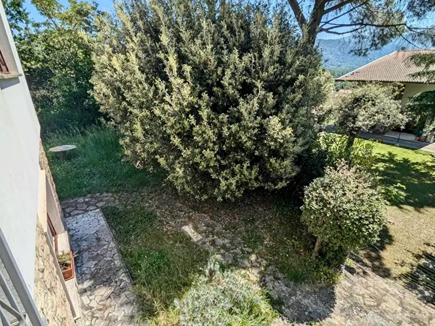 Immagine 8 di Appartamento in vendita  a Vecchiano