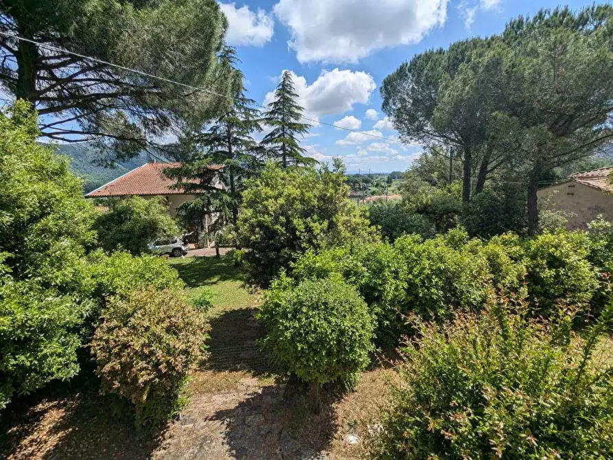 Immagine 22 di Appartamento in vendita  a Vecchiano