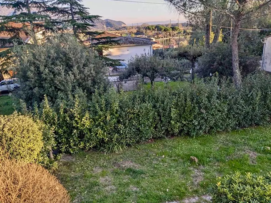 Immagine 6 di Appartamento in vendita  a Vecchiano