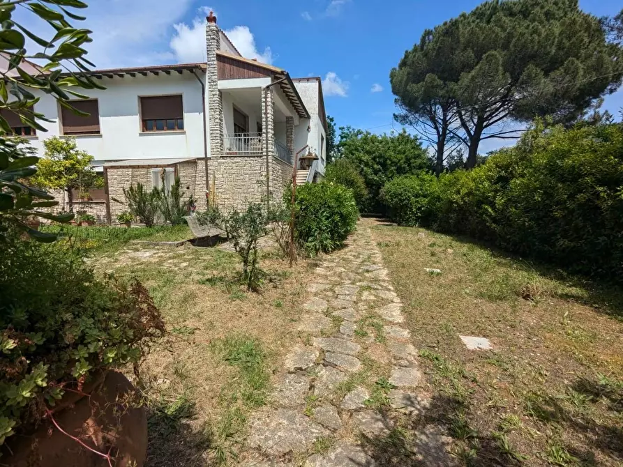 Immagine 19 di Appartamento in vendita  a Vecchiano