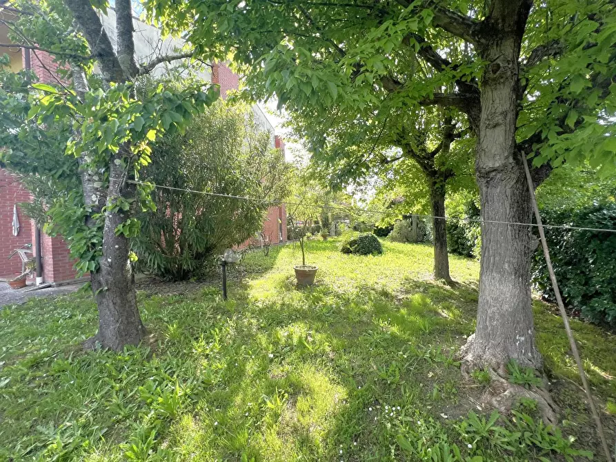 Immagine 21 di Villetta a schiera in vendita  a Vecchiano