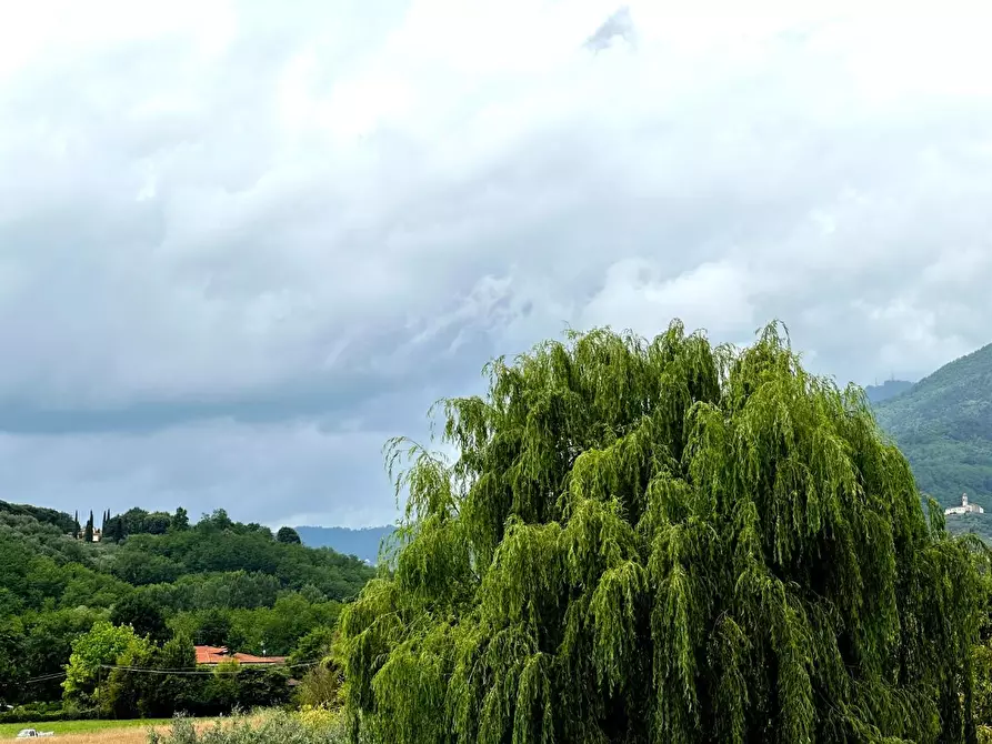 Immagine 34 di Villa in vendita  a Capannori