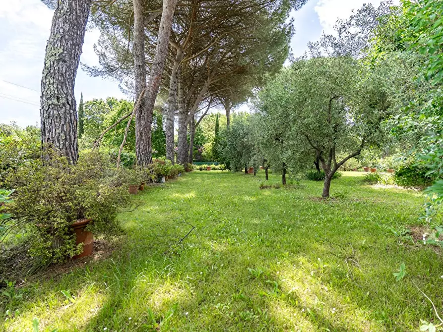 Immagine 9 di Villa in vendita  a Fucecchio