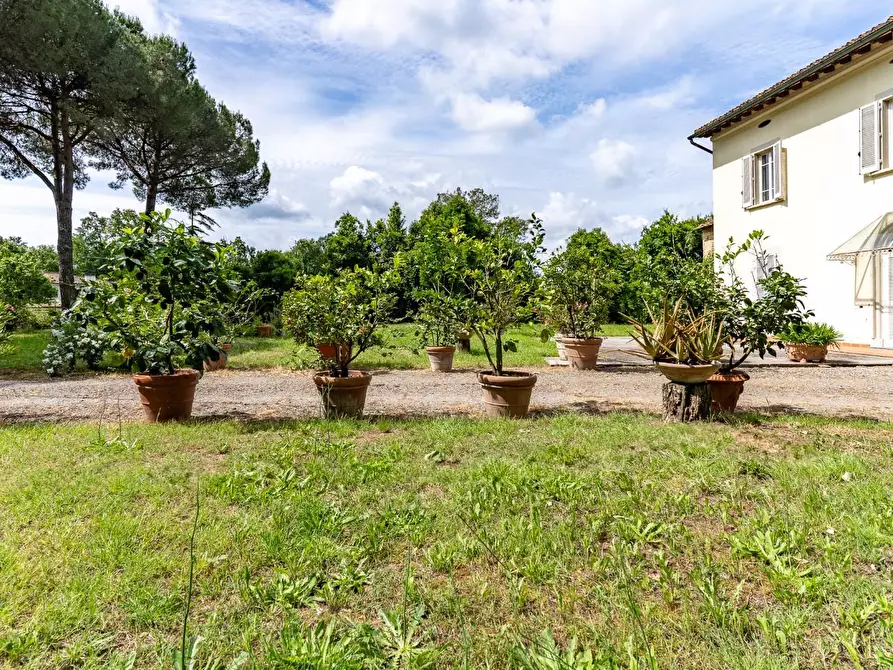 Immagine 8 di Villa in vendita  a Fucecchio