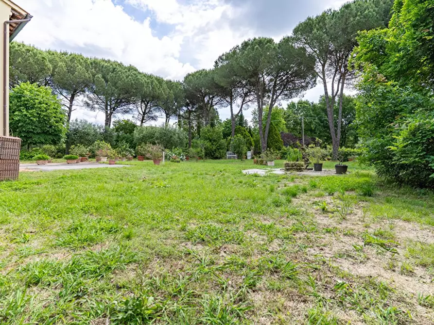 Immagine 5 di Villa in vendita  a Fucecchio