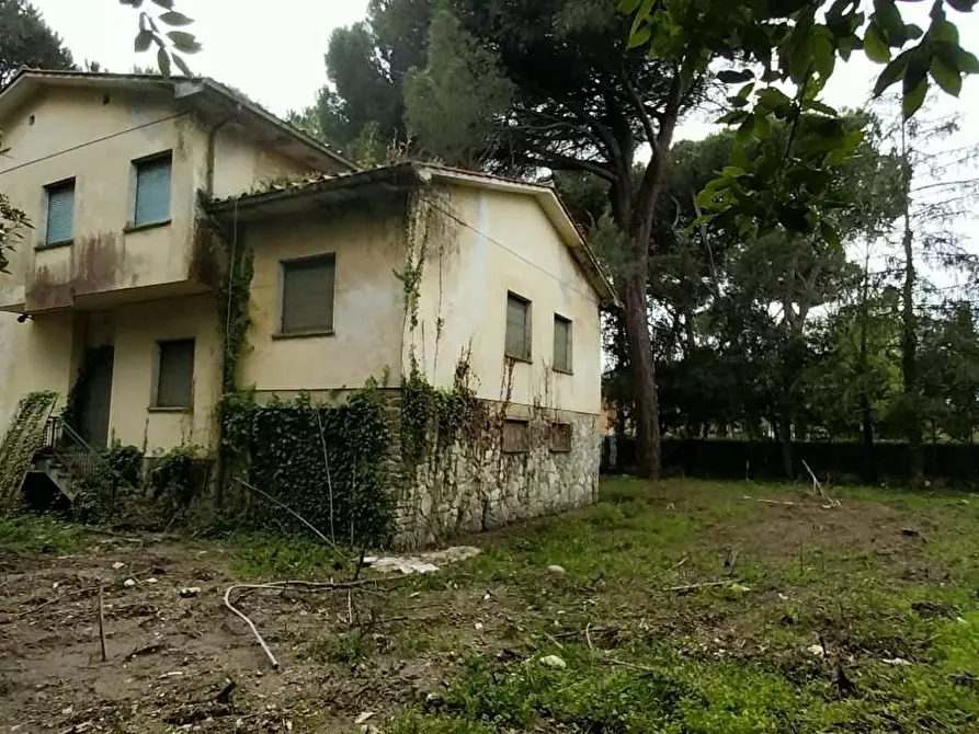 Immagine 14 di Villa in vendita  a Massa
