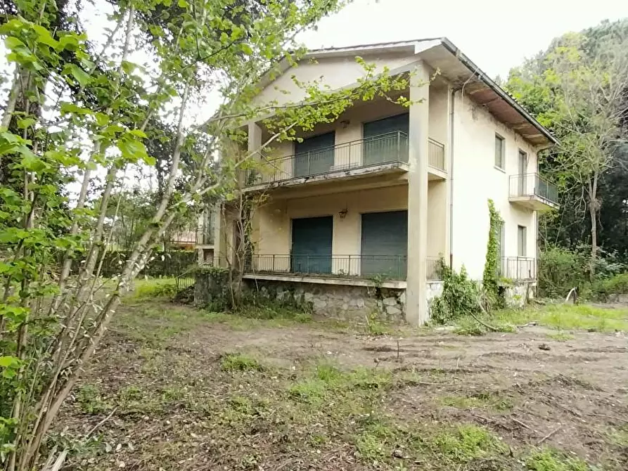 Immagine 5 di Villa in vendita  a Massa