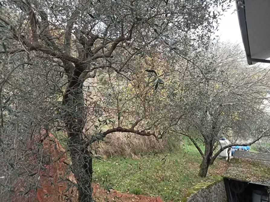 Immagine 11 di Casa indipendente in vendita  a Podenzana